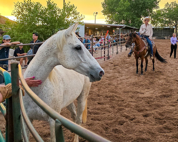 Stables at Tamaya Rodeo